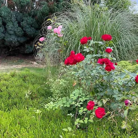 Semesterbostad Secluded, Charming 2 Bedroom Cottage, Heated Pool